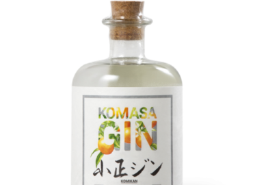 Gin Komasa Komikan